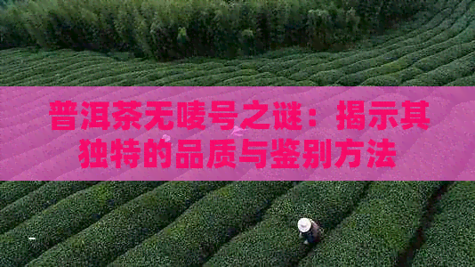 普洱茶无唛号之谜：揭示其独特的品质与鉴别方法