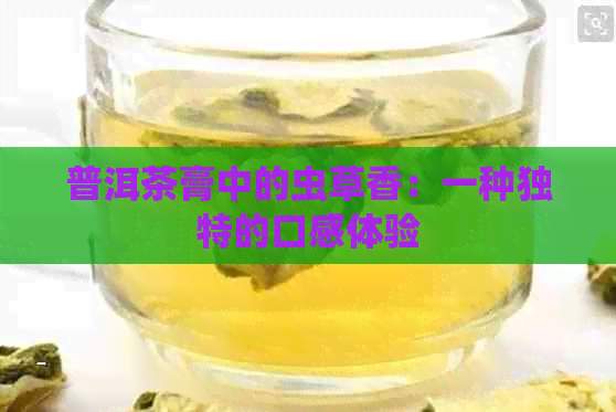 普洱茶膏中的虫草香：一种独特的口感体验