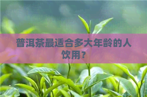 普洱茶最适合多大年龄的人饮用？