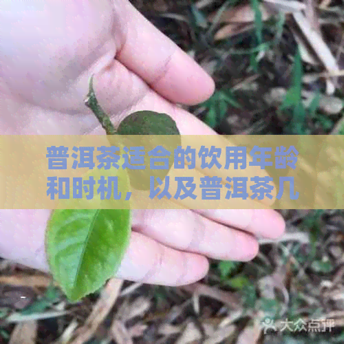 普洱茶适合的饮用年龄和时机，以及普洱茶几岁可以喝。