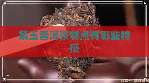 紫玉普洱茶特点有哪些特征