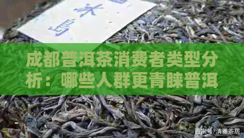 成都普洱茶消费者类型分析：哪些人群更青睐普洱茶？