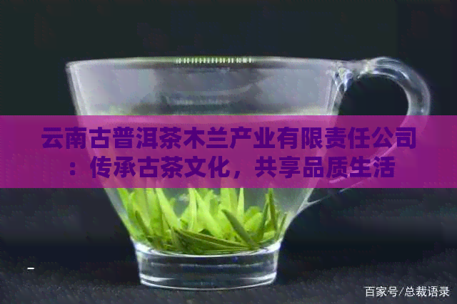 云南古普洱茶木兰产业有限责任公司：传承古茶文化，共享品质生活