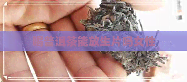 喝普洱茶能放生片吗女性