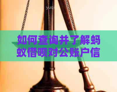 如何查询并了解蚂蚁借呗对公账户信息？解答您关于该功能的全方位疑问