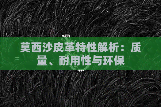 莫西沙皮革特性解析：质量、耐用性与环保