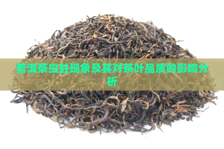 普洱茶虫蛀现象及其对茶叶品质的影响分析