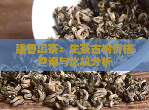 建普洱茶：生茶古树价格查询与比较分析