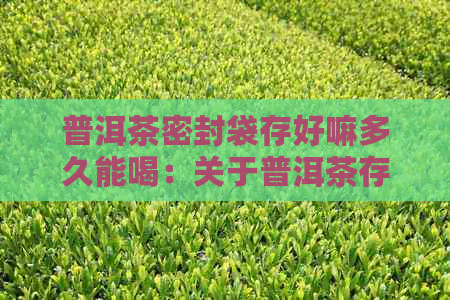 普洱茶密封袋存好嘛多久能喝：关于普洱茶存及饮用时间的建议