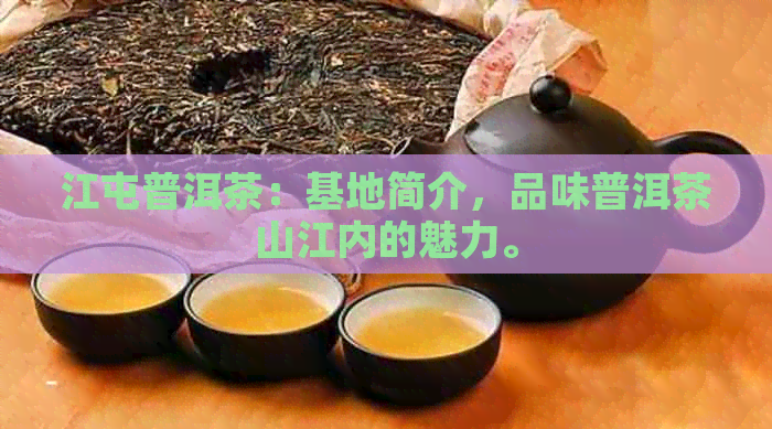 江屯普洱茶：基地简介，品味普洱茶山江内的魅力。