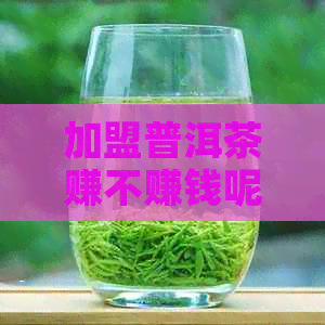 加盟普洱茶赚不赚钱呢现在怎么样了：专家解析行业现状与投资前景