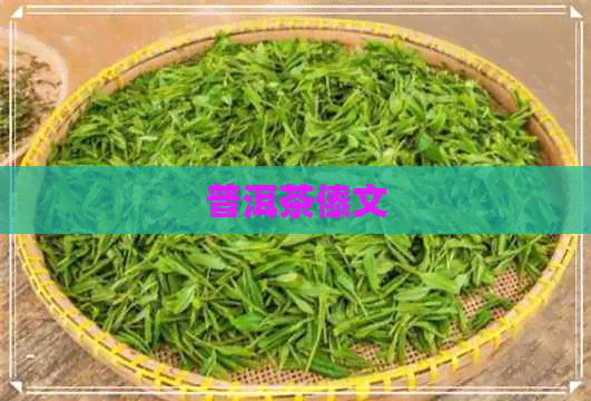 普洱茶傣文