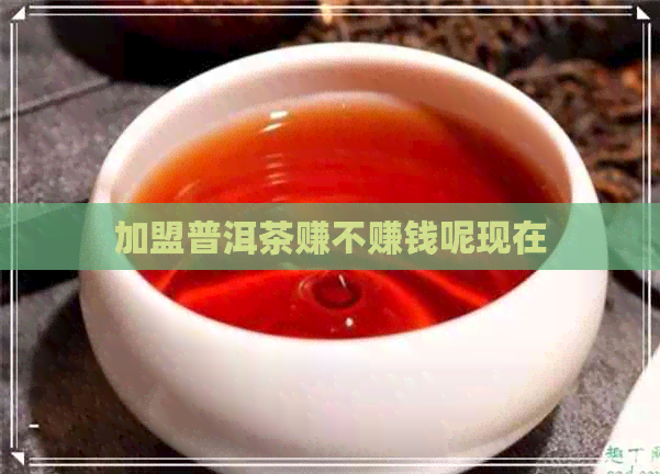 加盟普洱茶赚不赚钱呢现在