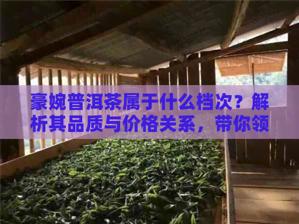 豪婉普洱茶属于什么档次？解析其品质与价格关系，带你领略普洱茶的独特魅力