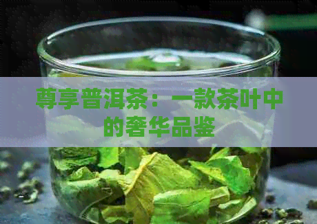 尊享普洱茶：一款茶叶中的奢华品鉴