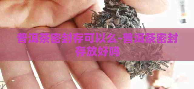 普洱茶密封存可以么-普洱茶密封存放好吗