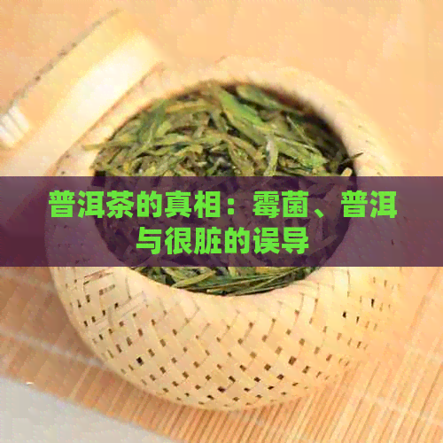 普洱茶的真相：霉菌、普洱与很脏的误导