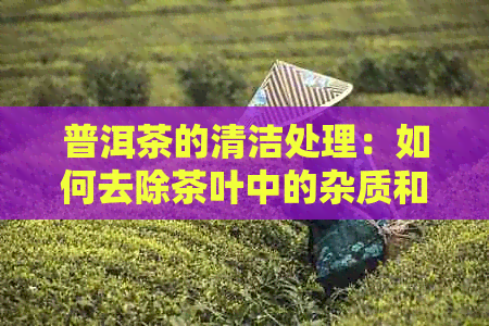 普洱茶的清洁处理：如何去除茶叶中的杂质和异味？