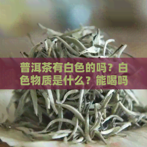 普洱茶有白色的吗？白色物质是什么？能喝吗？