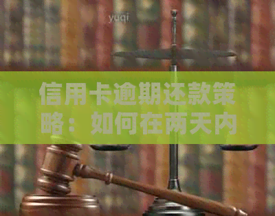 信用卡逾期还款策略：如何在两天内尽快还清欠款并减少利息支出