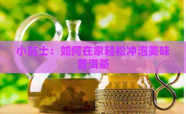 小贴士：如何在家轻松冲泡美味普洱茶