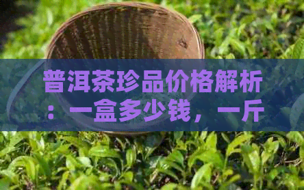 普洱茶珍品价格解析：一盒多少钱，一斤大概多少钱？