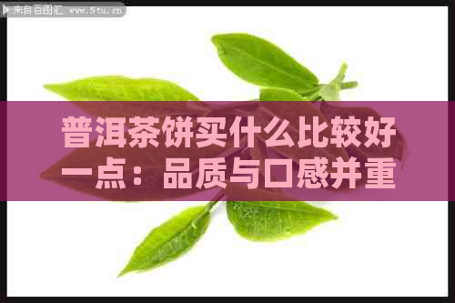 普洱茶饼买什么比较好一点：品质与口感并重的推荐