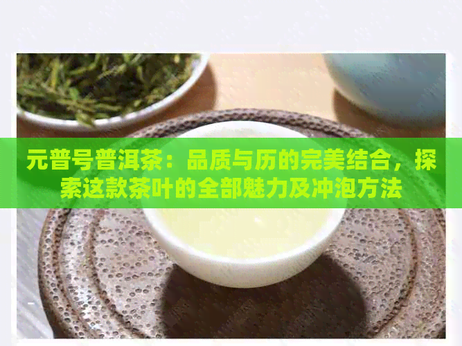 元普号普洱茶：品质与历的完美结合，探索这款茶叶的全部魅力及冲泡方法