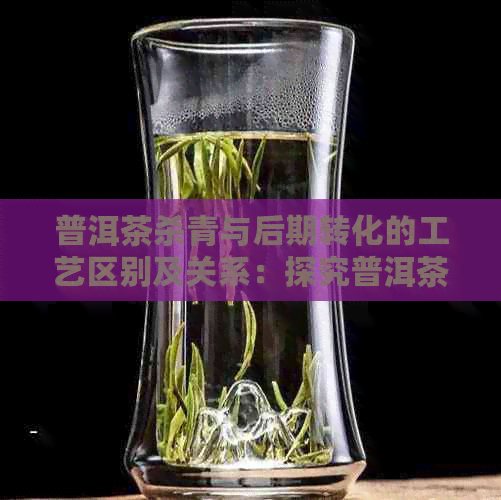 普洱茶杀青与后期转化的工艺区别及关系：探究普洱茶叶色香味形的形成过程