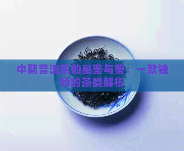 中期普洱茶的品鉴与鉴：一款独特的茶类解析