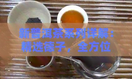 新普洱茶系列详解：精选德子，全方位解析价格与风味