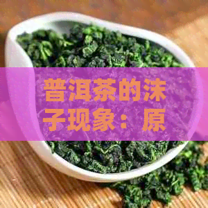 普洱茶的沫子现象：原因、种类与品饮技巧