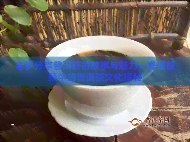 老罗分享普洱茶的故事与魅力：哔哩视频中的普洱茶文化探秘