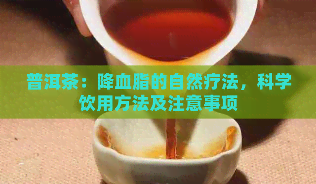 普洱茶：降血脂的自然疗法，科学饮用方法及注意事项