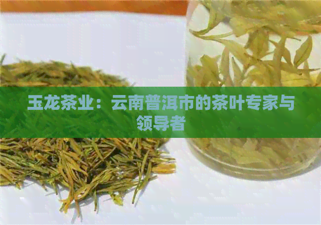 玉龙茶业：云南普洱市的茶叶专家与领导者