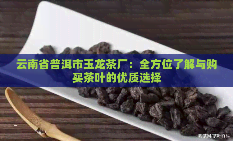 云南省普洱市玉龙茶厂：全方位了解与购买茶叶的优质选择