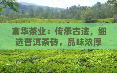 富华茶业：传承古法，细选普洱茶砖，品味浓厚文化气息