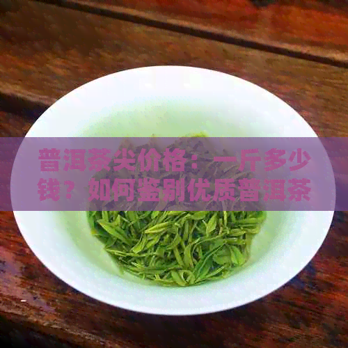 普洱茶尖价格：一斤多少钱？如何鉴别优质普洱茶牙尖？