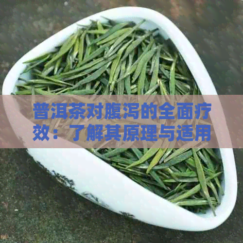 普洱茶对腹泻的全面疗效：了解其原理与适用人群，有效缓解肠胃不适