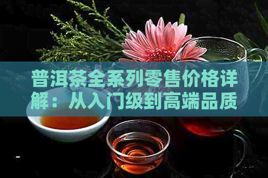 普洱茶全系列零售价格详解：从入门级到高端品质一应俱全