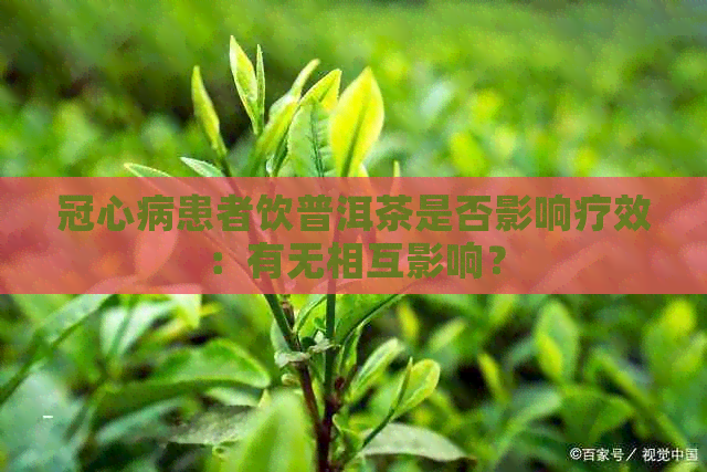 冠心病患者饮普洱茶是否影响疗效：有无相互影响？