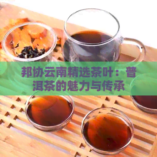 邦协云南精选茶叶：普洱茶的魅力与传承