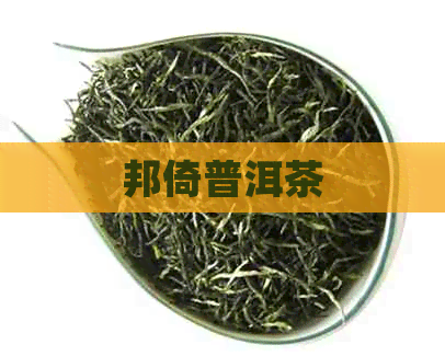 邦倚普洱茶