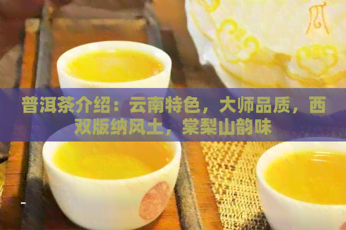 普洱茶介绍：云南特色，大师品质，西双版纳风土，棠梨山韵味