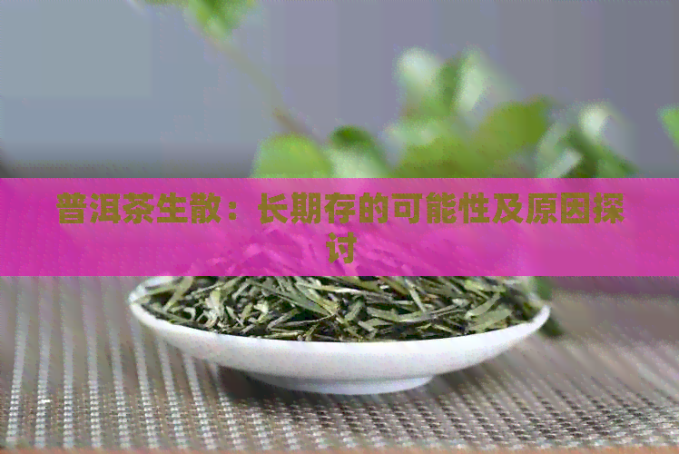 普洱茶生散：长期存的可能性及原因探讨