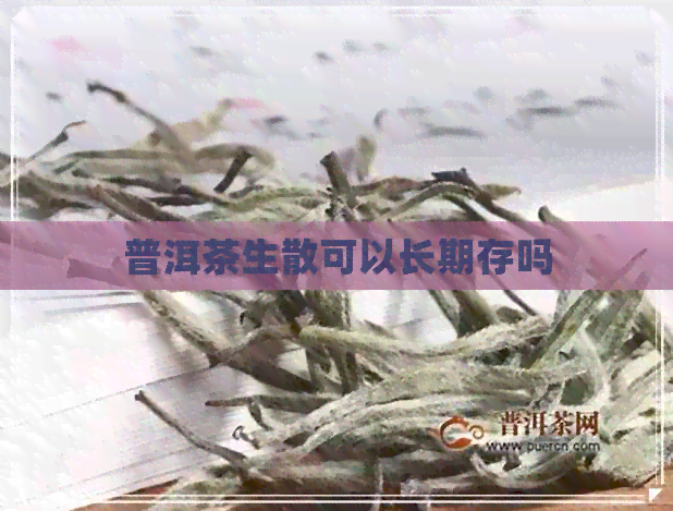 普洱茶生散可以长期存吗