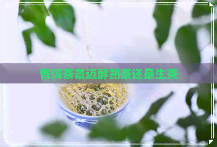 普洱茶景迈醇熟茶还是生茶