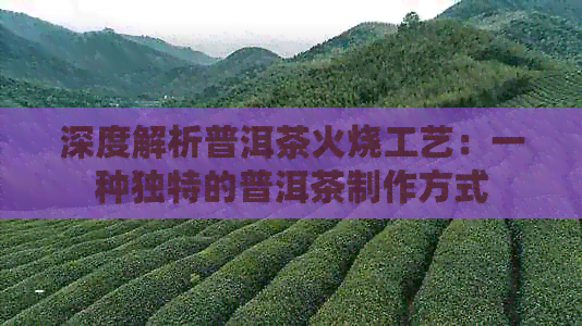 深度解析普洱茶火烧工艺：一种独特的普洱茶制作方式