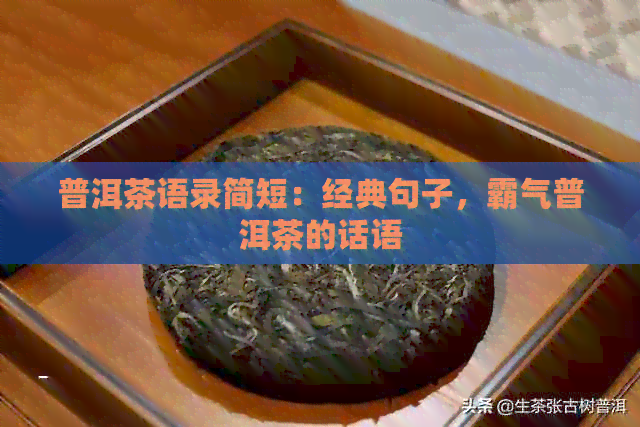 普洱茶语录简短：经典句子，霸气普洱茶的话语