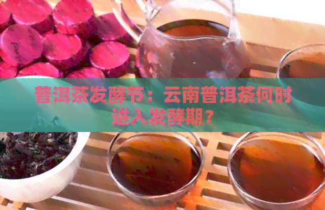 普洱茶发酵节：云南普洱茶何时进入发酵期？